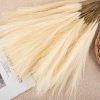 Buchet de iarbă pampas artificială 10 fire 56.6cm înălțime – Crem  