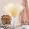 Buchet de iarbă pampas artificială 10 fire 56.6cm înălțime – Crem  