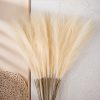 Buchet de iarbă pampas artificială 10 fire 56.6cm înălțime – Crem  