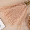Buchet de iarbă pampas artificială 10 fire 56.6cm înălțime – Bej pudră  
