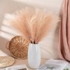 Buchet de iarbă pampas artificială 10 fire 56.6cm înălțime – Bej pudră  