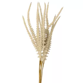 Mănunchi de salvie, 6 fire, 50cm - Bej