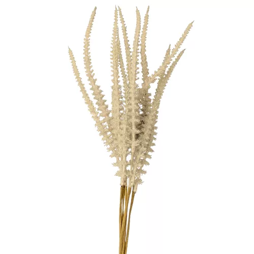 Mănunchi de salvie, 6 fire, 50cm - Bej