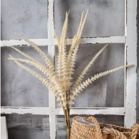 Mănunchi de salvie, 6 fire, 50cm - Bej