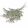 Legătură de iarbă tip coarne de cerb 6 fire 39cm – Verde albicios  