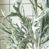 Legătură de iarbă tip coarne de cerb 6 fire 39cm – Verde albicios  