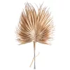 Mănunchi de frunze palmier aurii metalizate, 6 fire, 33cm x 20cm