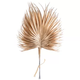   Mănunchi de frunze palmier aurii metalizate, 6 fire, 33cm x 20cm