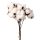 Legătură decorativă cu ramuri de bumbac 10 fire 34cm  
