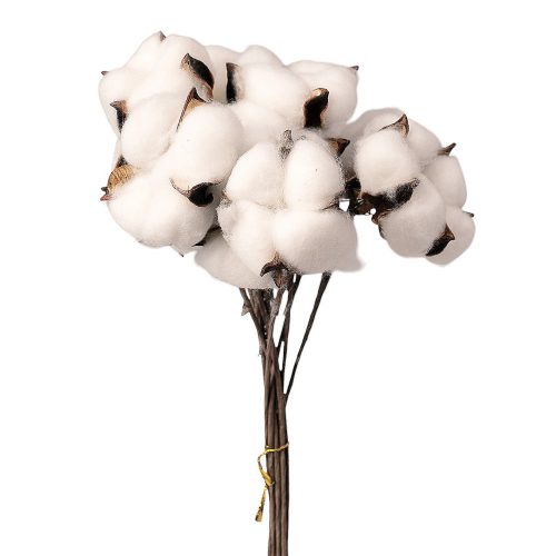 Legătură decorativă cu ramuri de bumbac 10 fire 34cm  