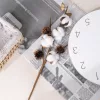 Ramură decorativă de bumbac, 4 capsule, 49cm