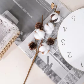 Ramură decorativă de bumbac, 4 capsule, 49cm