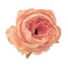 Floare de bujor artificială cap de floare 5.5cm – Șampanie  