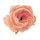 Floare de bujor artificială cap de floare 5.5cm – Șampanie  