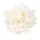 Cap de dalie artificială, 8cm - Ecru