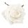Cap de trandafir catifelat 8cm – Alb  