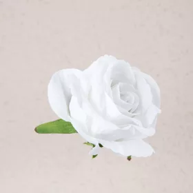 Cap de trandafir catifea, 8cm - Alb