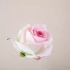 Cap de trandafir catifea, 8cm - Rose pink