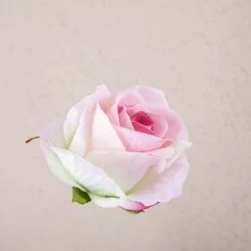 Cap de trandafir catifea, 8cm - Rose pink