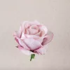 Cap de trandafir catifea, 8cm - Șampanie