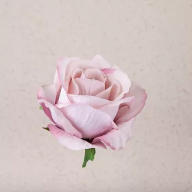 Cap de trandafir catifea, 8cm - Șampanie