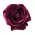 Cap de trandafir catifea, 8cm - Bordo