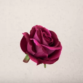 Cap de trandafir catifea, 8cm - Bordo