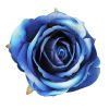 Cap de trandafir catifelat 8cm – Albastru  