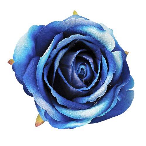 Cap de trandafir catifelat 8cm – Albastru  