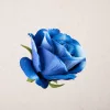 Cap de trandafir catifea, 8cm - Albastru