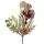 Ramură de iarnă cu brad, eucalipt, bobițe și con, 31cm