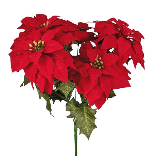 Buchet de poinsettia (steaua Crăciunului) 5 ramuri 37cm floare 13.5cm  