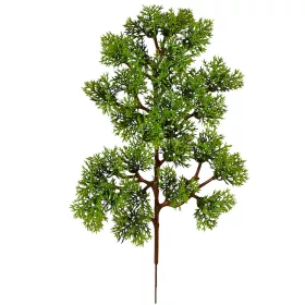 Tufă de chiparos, 34cm