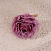 Cap de trandafir artificial 7.5cm – Liliachiu roz  