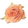 Cap de trandafir artificial 7.5cm – Galben  