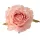 Cap de trandafir artificial, 7.5cm - Șampanie