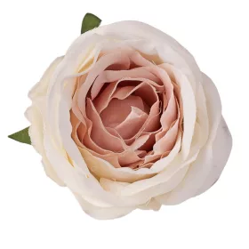 Cap de trandafir englezesc artificial, 5.5cm - Alb maroniu