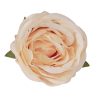 Cap de trandafir englezesc artificial 5.5cm – Crem  