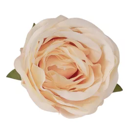 Cap de trandafir englezesc artificial, 5.5cm - Crem