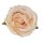 Cap de trandafir englezesc artificial 5.5cm – Crem  