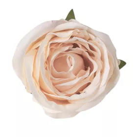   Cap de trandafir englezesc artificial, 5.5cm - Șampanie deschisă