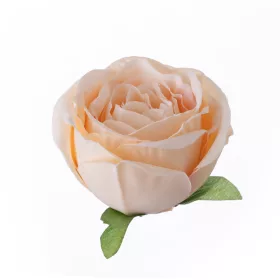   Cap de trandafir englezesc artificial, 5.5cm - Șampanie deschisă