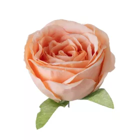   Cap de trandafir englezesc artificial, 5.5cm - Șampanie închisă