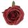 Cap de trandafir englezesc artificial 5.5cm – Bordeaux  