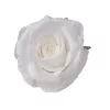 Cap de trandafir artificial, 10cm - Alb