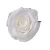 Cap de trandafir artificial 10cm – Alb  