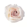 Cap de trandafir artificial, 10cm - Ecru