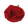 Cap de trandafir artificial, 10cm - Roșu