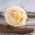 Cap de trandafir artificial 10cm – Crem  