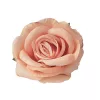 Cap de trandafir artificial, 10cm - Portocaliu pastel